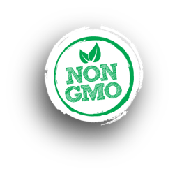 Icon No GMO/GMO
