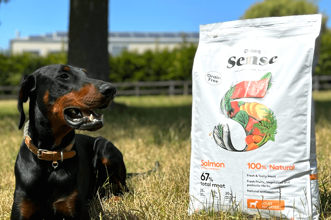 Sfeerbeeld YDOLO | Echt gezonde voeding, snacks & supplementen voor honden & katten