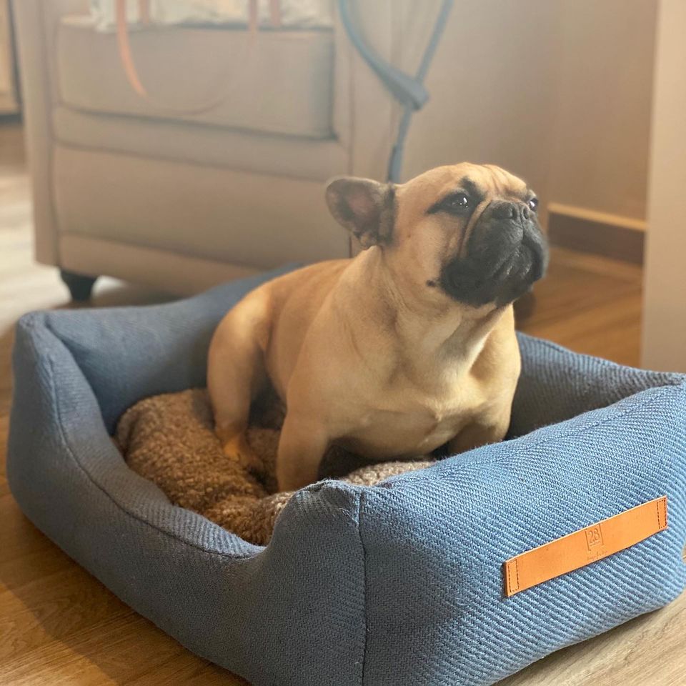 Henri Jute Blau Hundebett