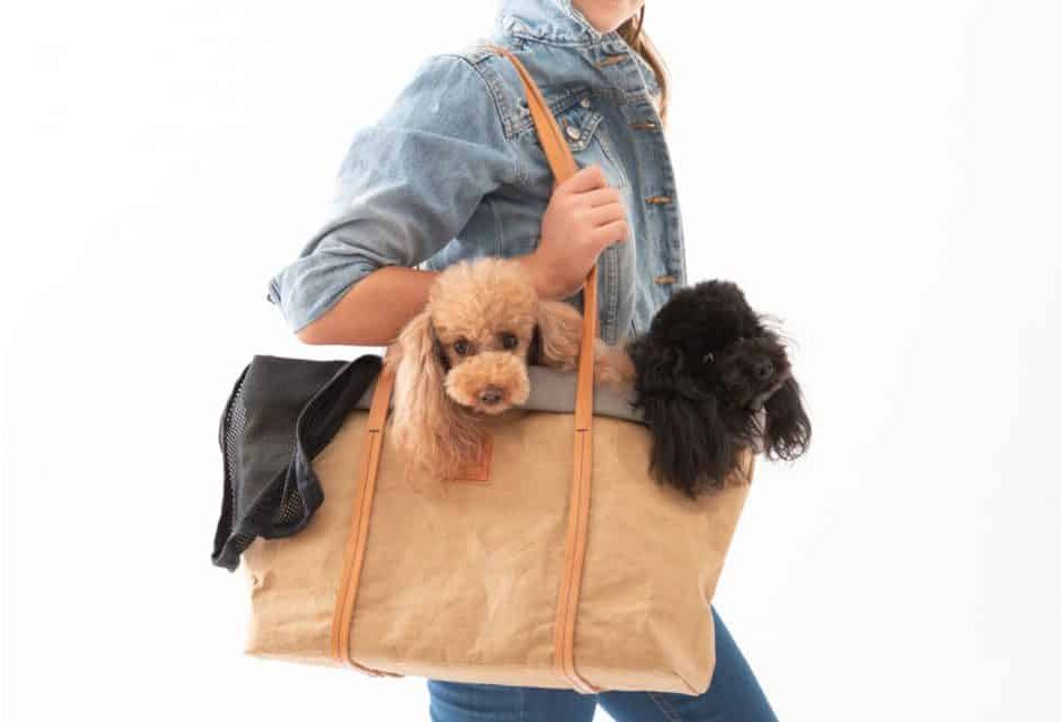 Annie Paper Handtasche – Havanna Leinwand