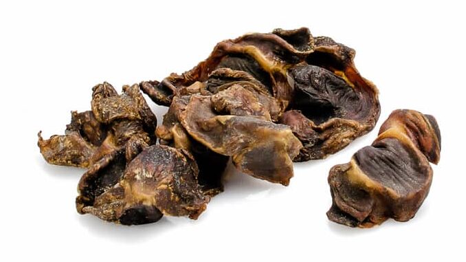 YDOLO – Kippenmaagjes