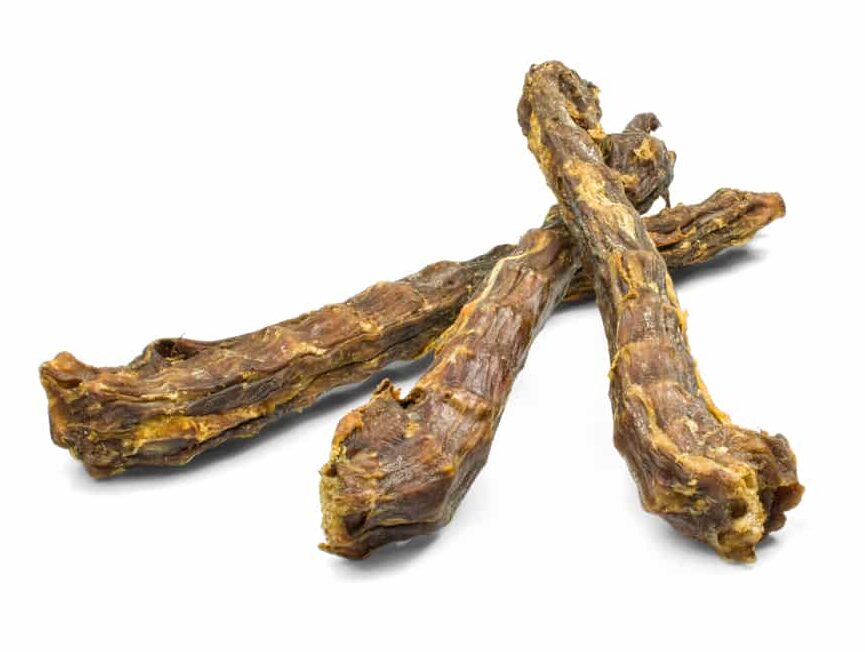 YDOLO – Eendennekken