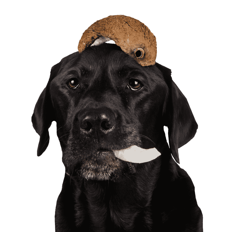 Tippy Taps Fruit Snack Kokosnoot