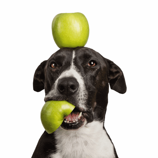 Tippy Taps Fruit Snack Groene Appel