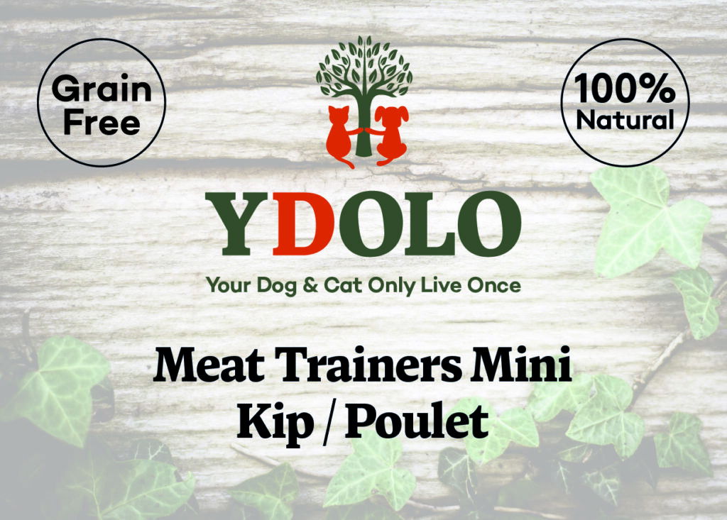 YDOLO trainers poulet 400g