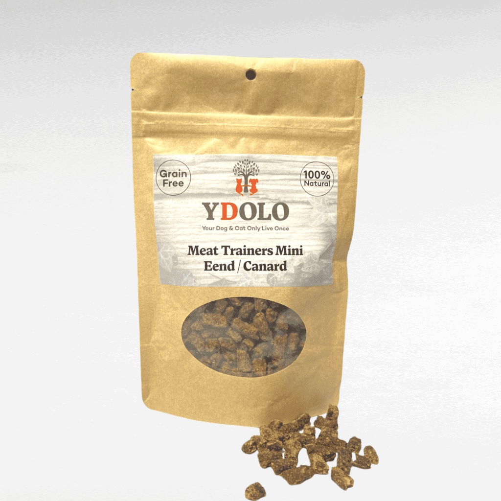 YDOLO trainers canard 180g