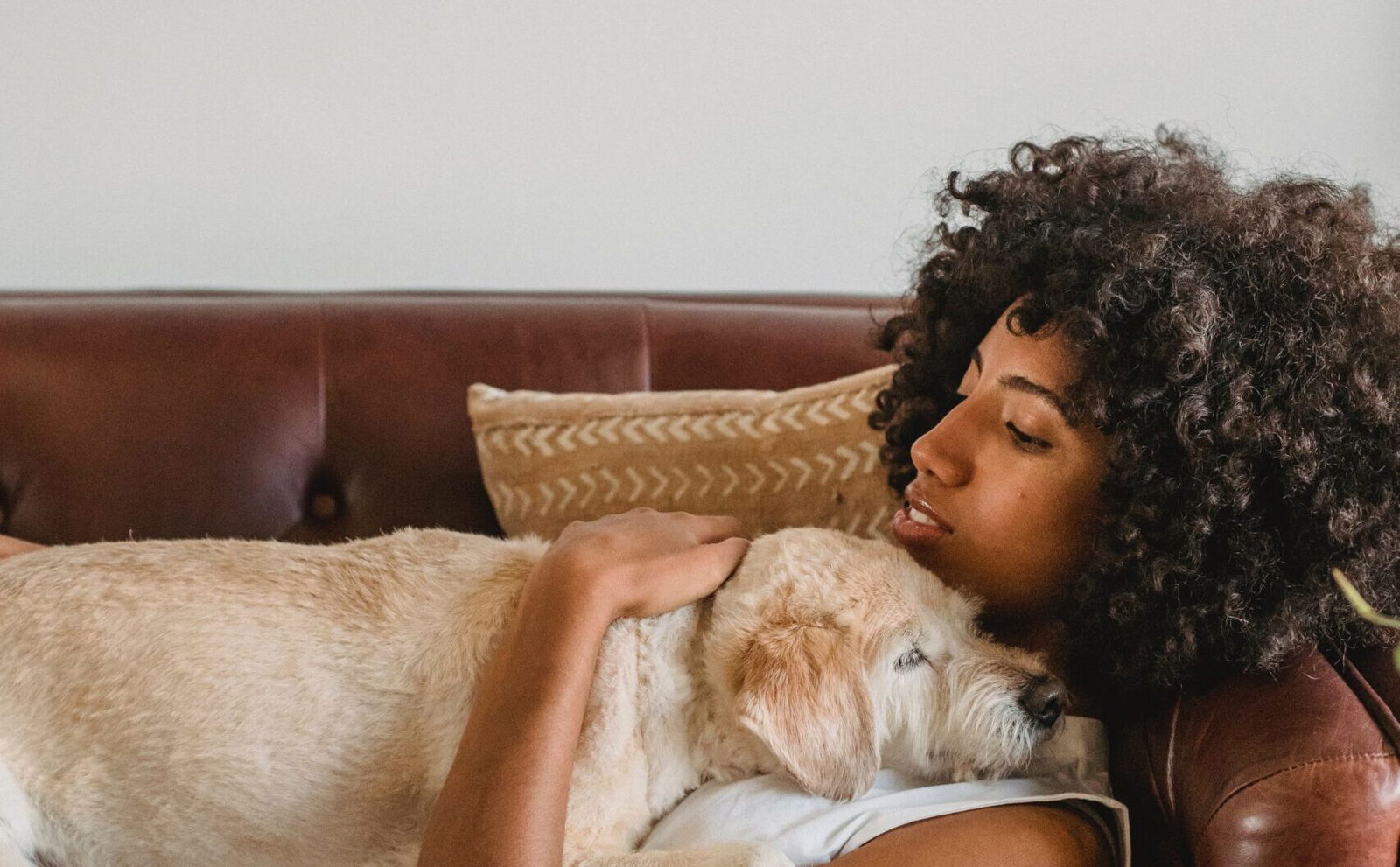 Sfeerbeeld YDOLO | Echt gezonde voeding, snacks & supplementen voor honden & katten