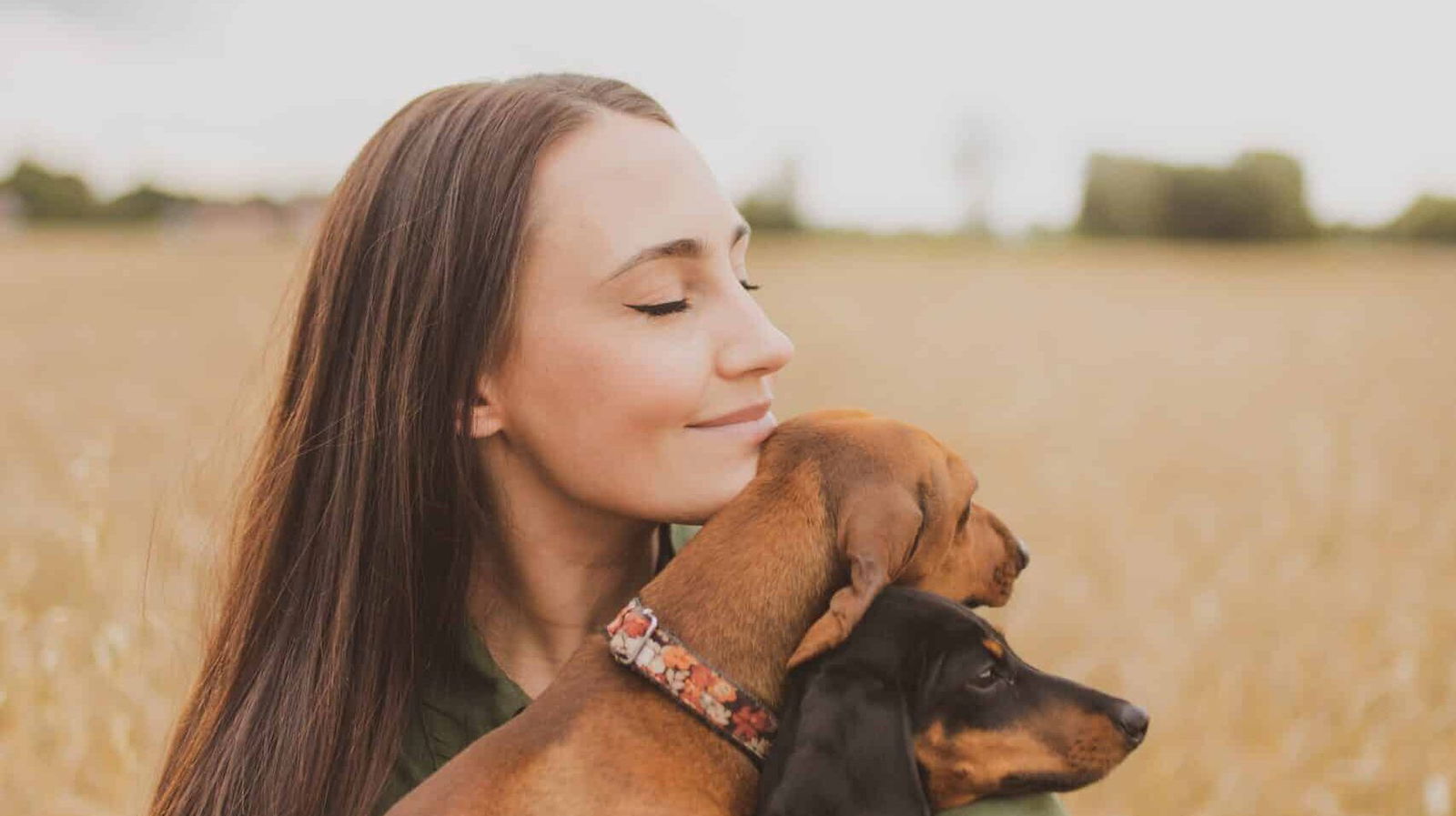 Sfeerbeeld YDOLO | Echt gezonde voeding, snacks & supplementen voor honden & katten