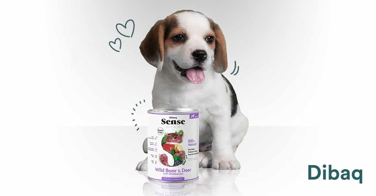 Image YDOLO | Aliments, collations et suppléments vraiment sains pour chiens et chats