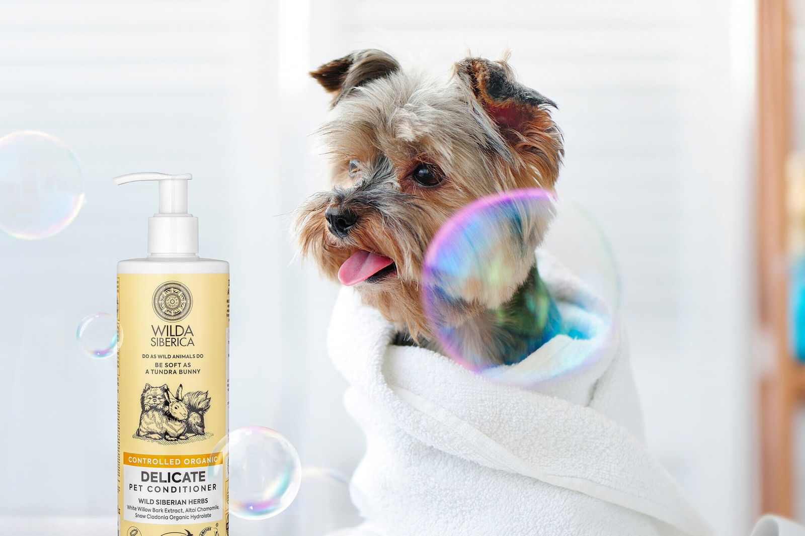 Sfeerbeeld YDOLO | Echt gezonde voeding, snacks & supplementen voor honden & katten