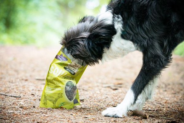Sfeerbeeld YDOLO | Echt gezonde voeding, snacks & supplementen voor honden & katten