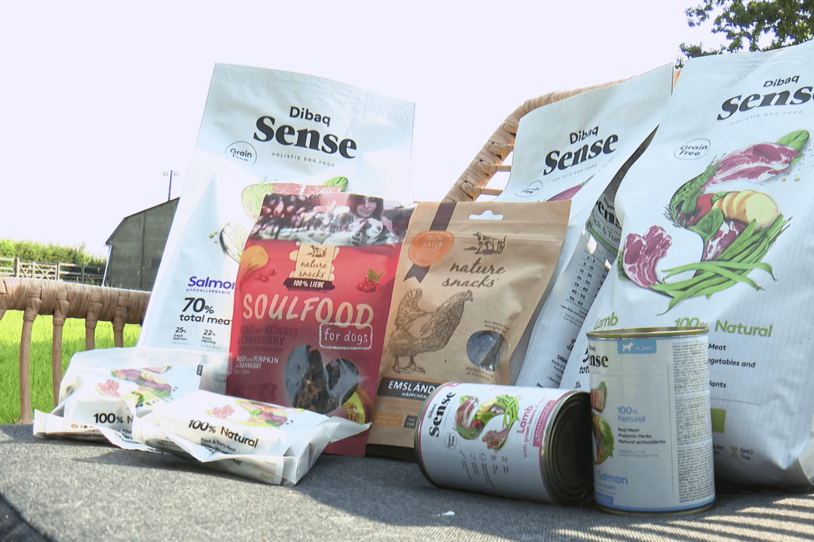 Sfeerbeeld YDOLO | Echt gezonde voeding, snacks & supplementen voor honden & katten