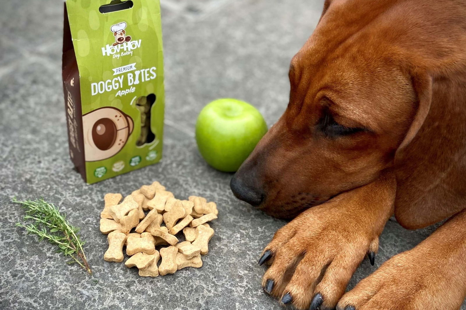 Sfeerbeeld YDOLO | Echt gezonde voeding, snacks & supplementen voor honden & katten