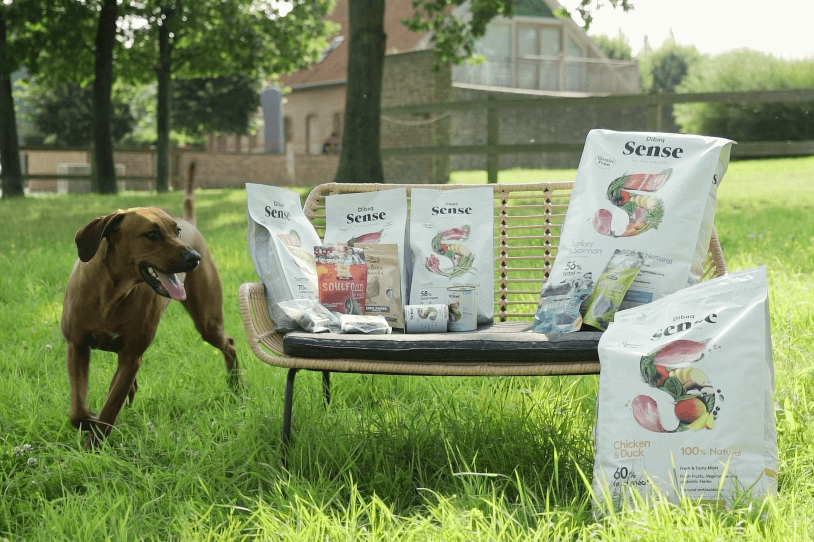 Sfeerbeeld YDOLO | Echt gezonde voeding, snacks & supplementen voor honden & katten