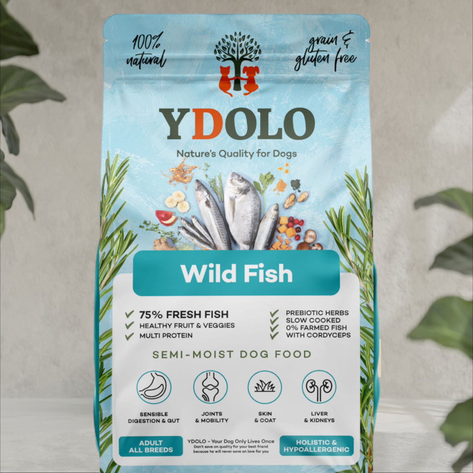 YDOLO Healthy & Pure Wild Fish