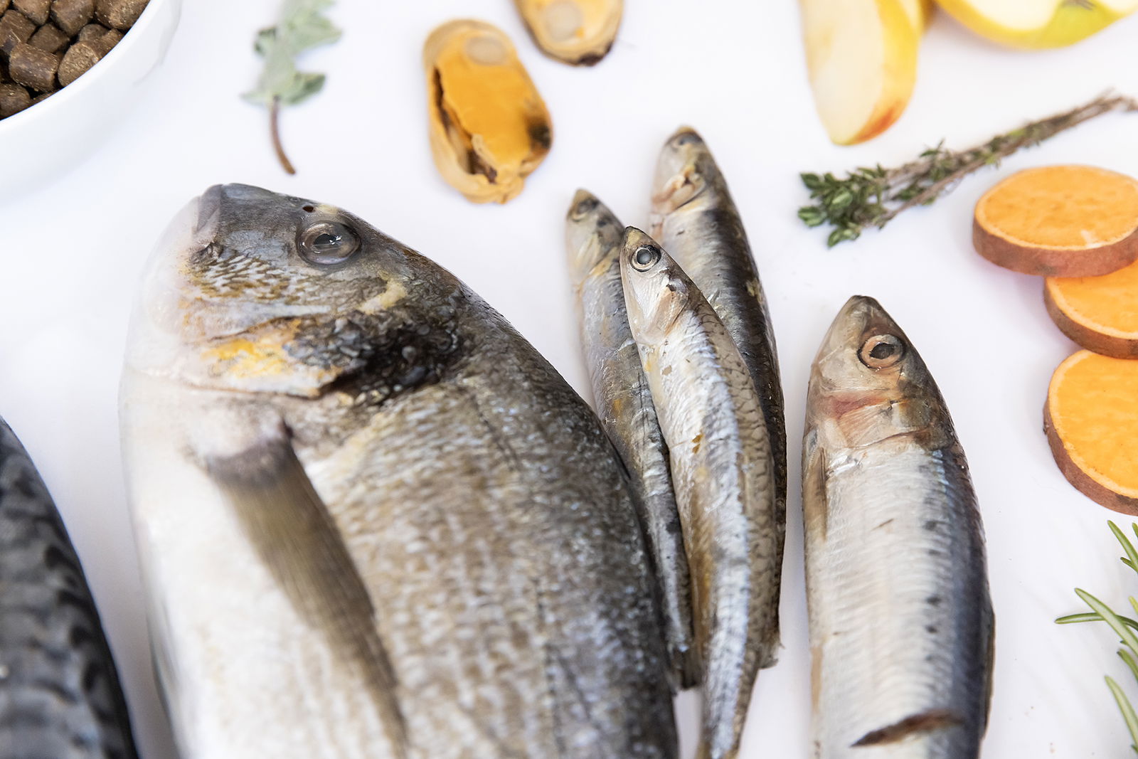 YDOLO Healthy & Pure Wild Fish