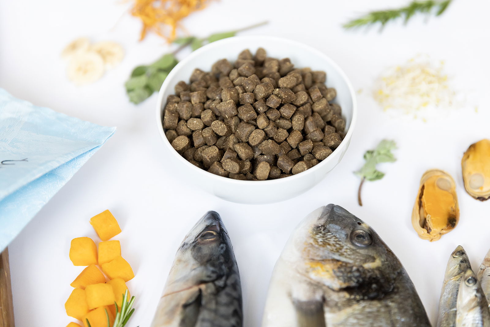 YDOLO Healthy & Pure Wild Fish