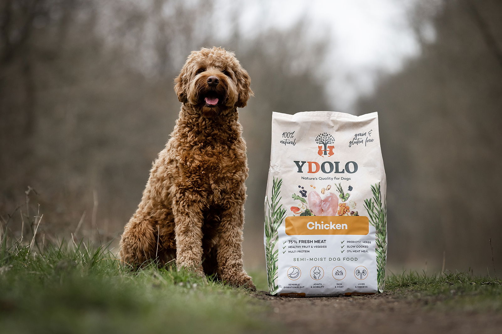 YDOLO Healthy & Pure Poulet