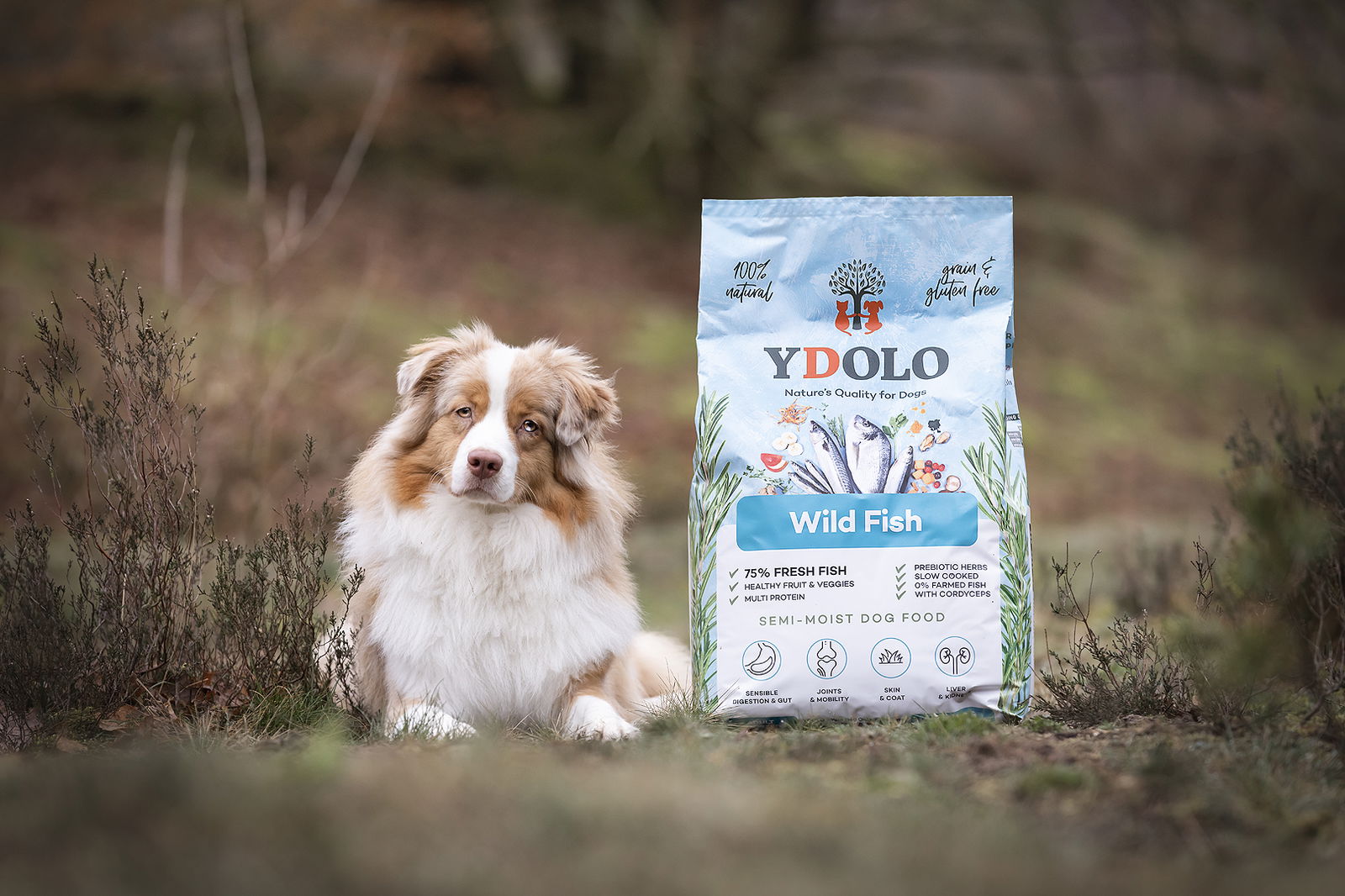 YDOLO Healthy & Pure Wild Fish